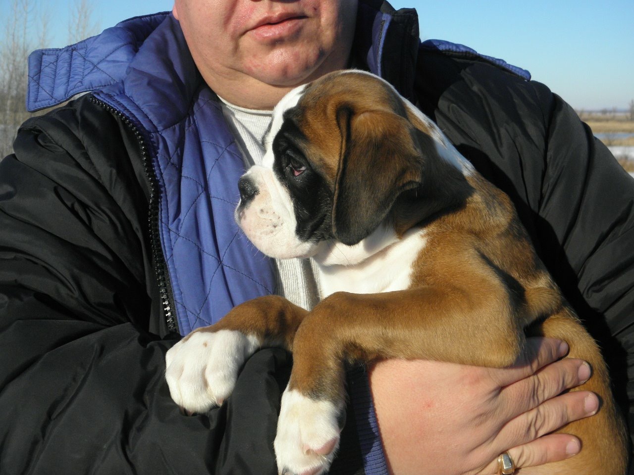 *Amber Brilliance ULGER *Amber Brilliance ULGER