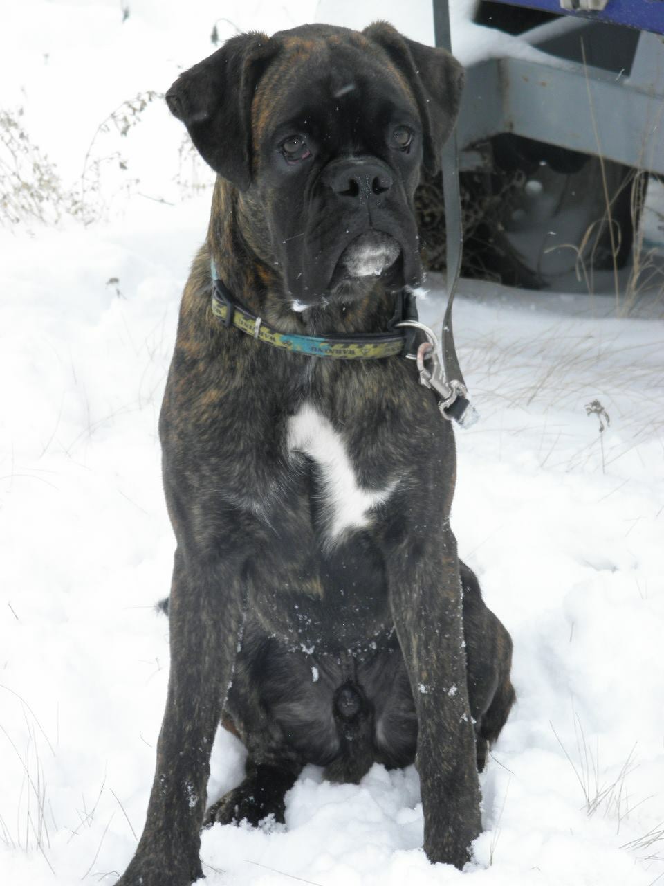 Image title Image title