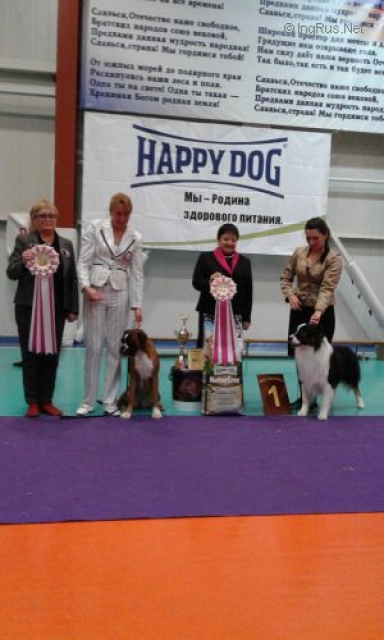 *Amber Brilliance SIMONA Beauty Queen *Amber Brilliance SIMONA Beauty Queen