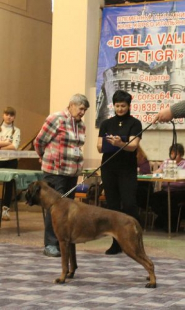 *Amber Brilliance SANDYSMILE of HAPPINESS *Amber Brilliance SANDYSMILE of HAPPINESS