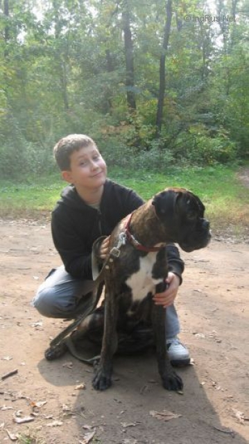 *Amber Brilliance SANTA LUCIA *Amber Brilliance SANTA LUCIA