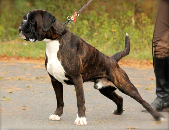 Image title Image title