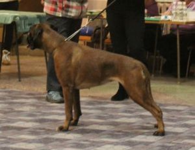 Image title Image title