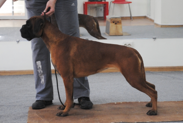 Image title Image title