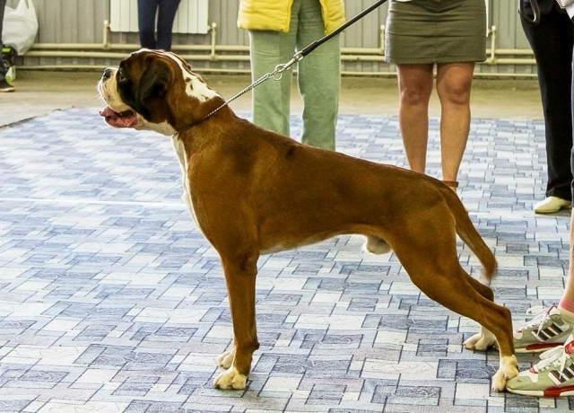 Image title Image title