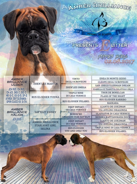 Image title Image title