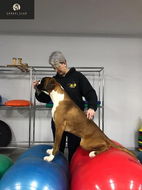 *AMBER BRILLIANCE EFRAIN *AMBER BRILLIANCE EFRAIN